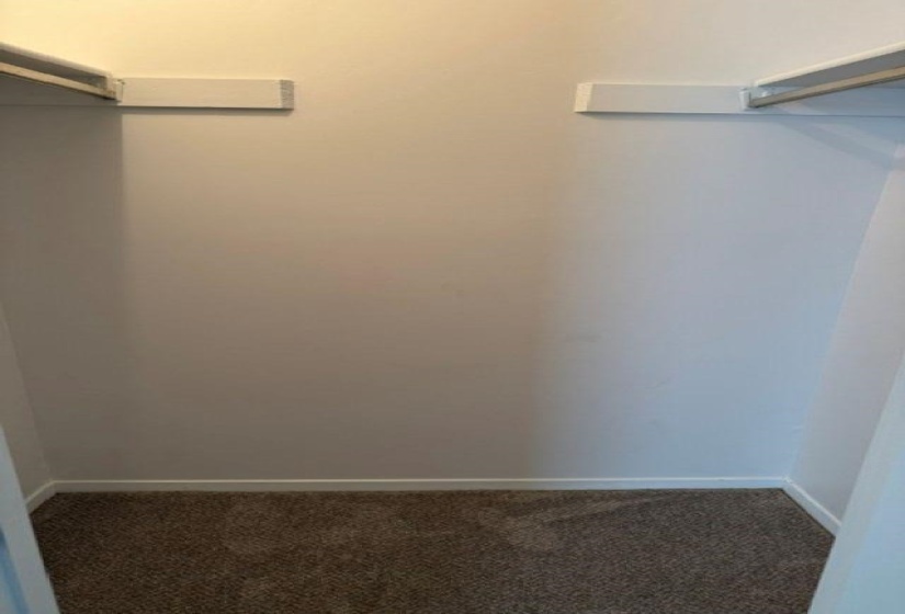 Carpeted closet with white walls, baseboards, and upper shelving with hanging rods