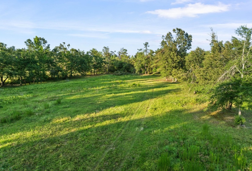 Expansive grass field bordered by mature trees