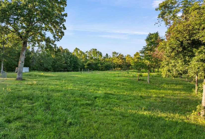 Expansive grassy field with scattered mature trees and distant perimeter fencing