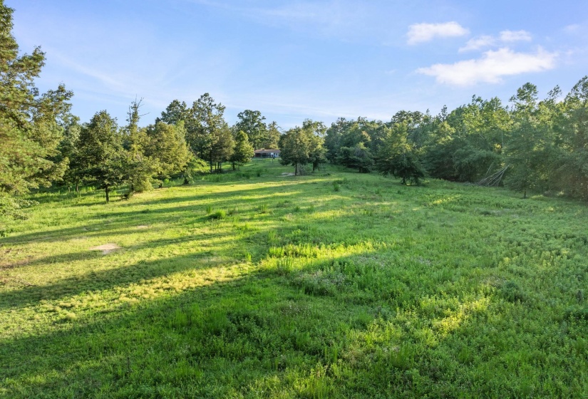 Expansive grassy land featuring scattered mature trees and a distant structure