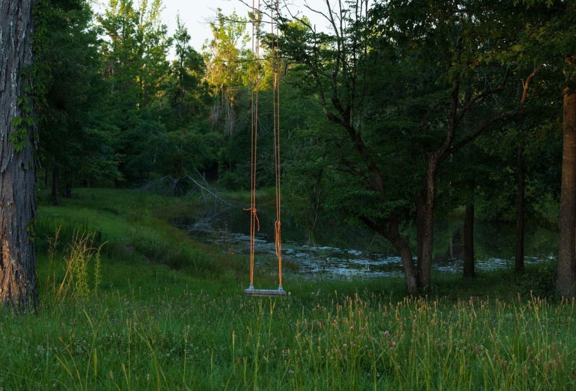 Wooded property featuring a rope swing, mature trees, natural grass, and a pond