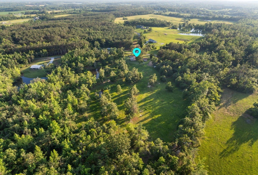 Expansive rural property featuring a mix of mature woodland and open grassy areas