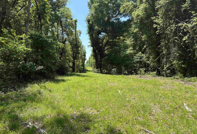 0 OSBORNTOWN RD, Arlington, Tennessee 38002, ,Land,For Sale,OSBORNTOWN,10224533