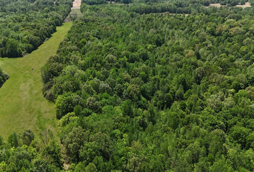 0 OSBORNTOWN RD, Arlington, Tennessee 38002, ,Land,For Sale,OSBORNTOWN,10224533