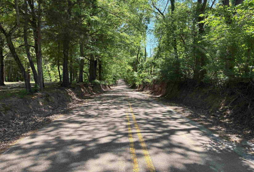 0 OSBORNTOWN RD, Arlington, Tennessee 38002, ,Land,For Sale,OSBORNTOWN,10224533