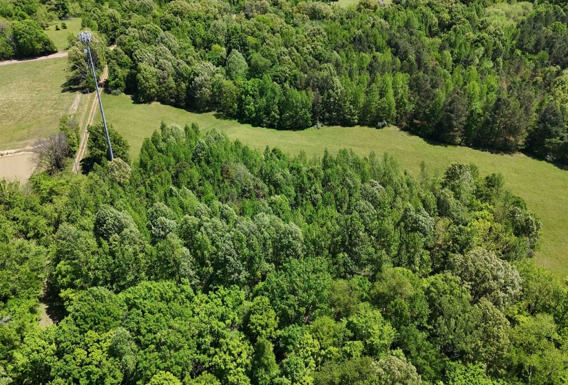 0 OSBORNTOWN RD, Arlington, Tennessee 38002, ,Land,For Sale,OSBORNTOWN,10224533