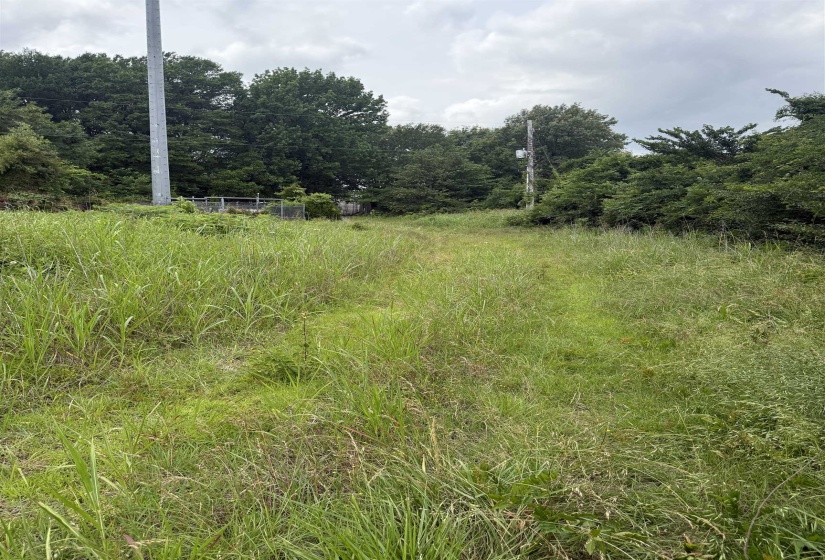 0 WILSON RD, Memphis, Tennessee 38116, ,Land,For Sale,WILSON,10224554