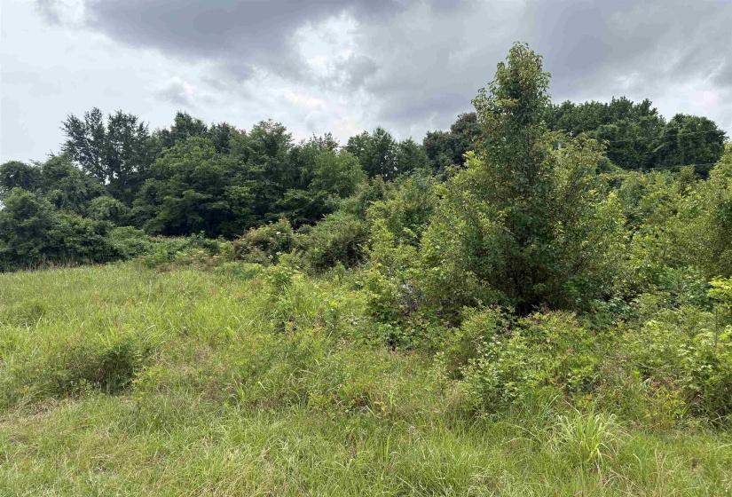 0 WILSON RD, Memphis, Tennessee 38116, ,Land,For Sale,WILSON,10224554