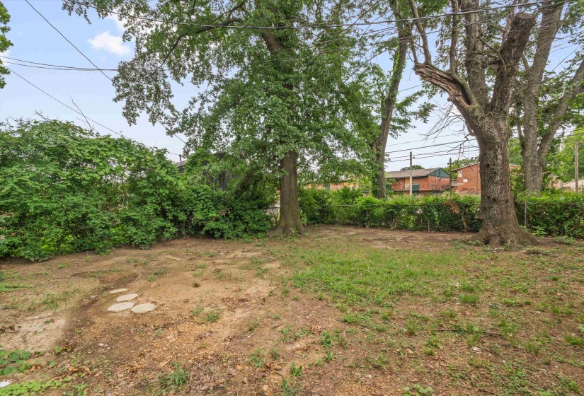 Spacious outdoor area featuring mature trees and established perimeter shrubbery