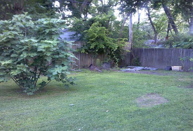 Image quality insufficient for description