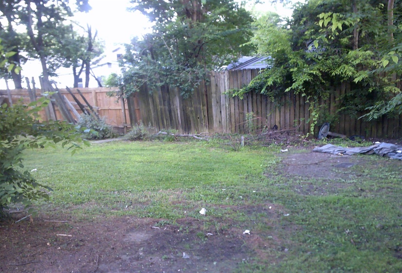 Image quality insufficient for description