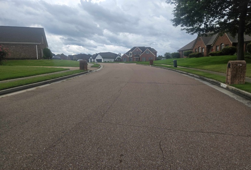 Residential street featuring a gentle curve, brick-clad homes with gabled roofs, manicured front lawns, and mature trees