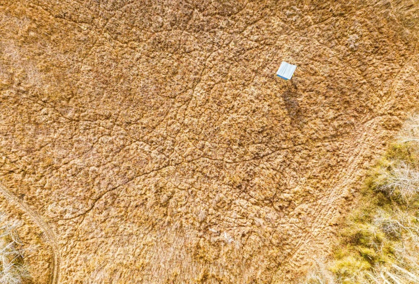 Detailed view