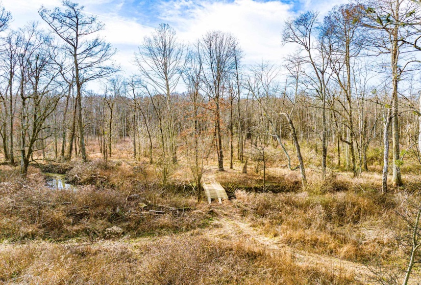 View of undeveloped land