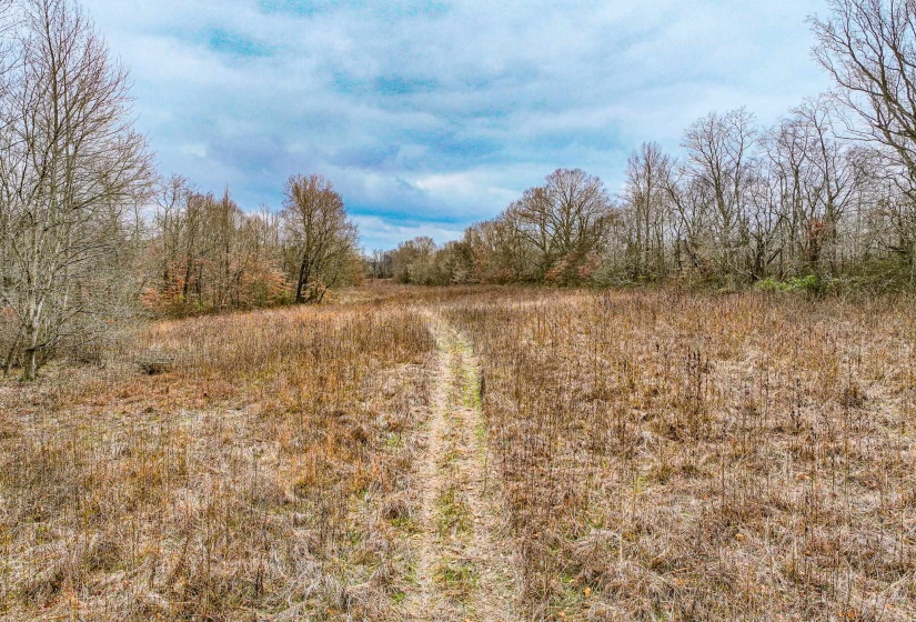View of local wilderness with rural landscape