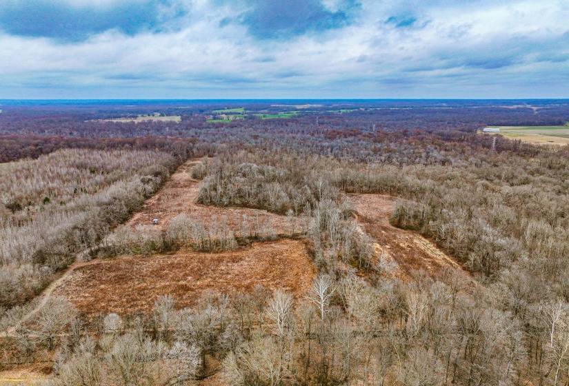 Aerial view of a heavily wooded area
