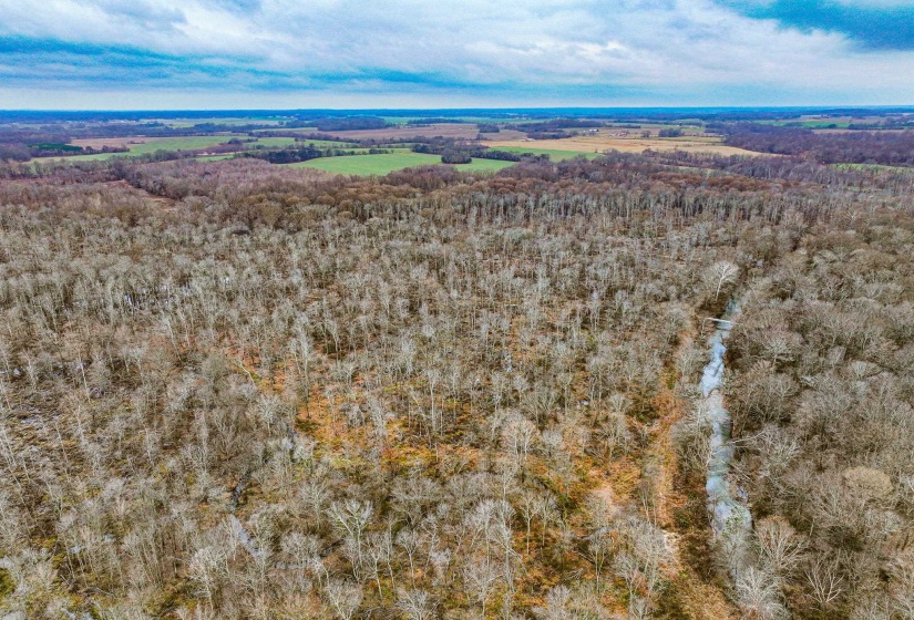Bird's eye view of a heavily wooded area
