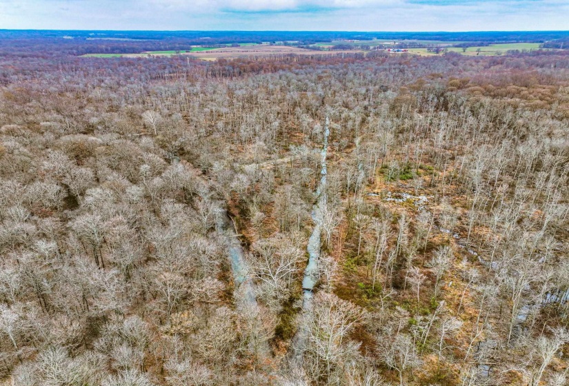 Aerial overview of property's location featuring a forest