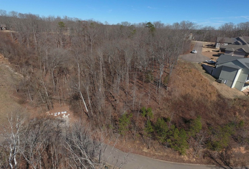 51 LEGACY PT, Savannah, Tennessee 38372, ,Land,For Sale,LEGACY,10224573