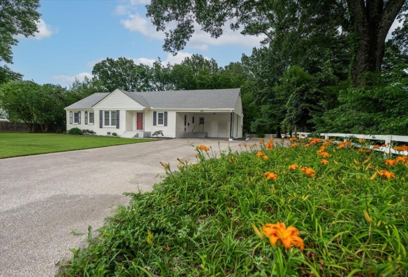 Ranch-style residence featuring a white exterior, dark shutters, and a prominent red front door