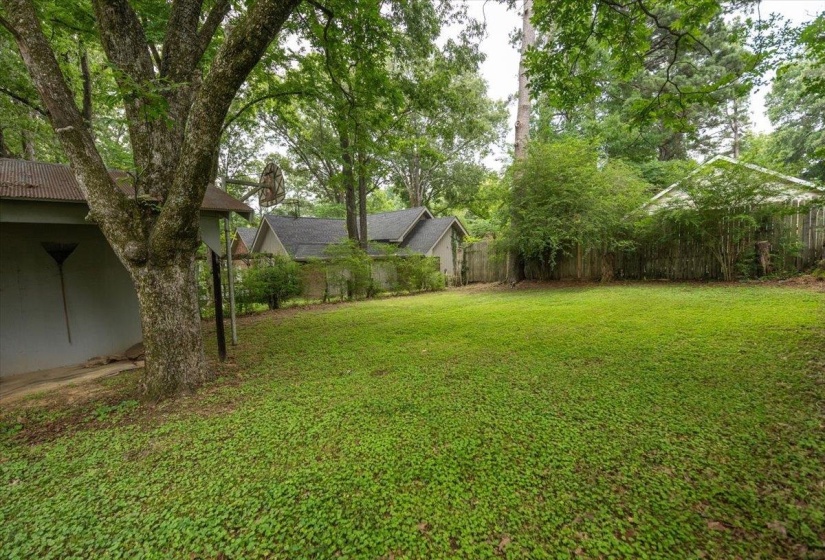 Expansive green lawn with established trees and natural landscaping