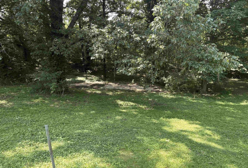 Expansive grassy area with mature trees providing partial shade
