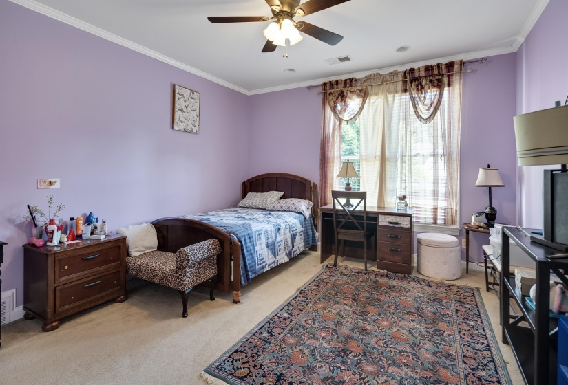 Carpeted room featuring a ceiling fan with integrated lighting, crown molding, and two windows