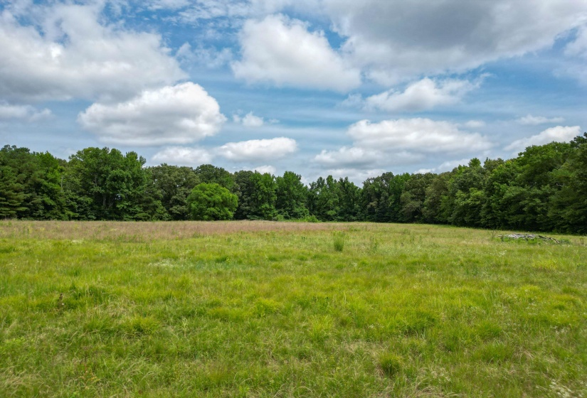 Enjoy serene views across the property with a picturesque blend of open acreage and natural tree lines providing beauty and privacy.