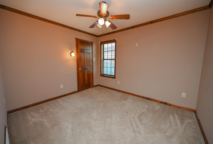 2nd Bedroom downstairs with walk-in closet.