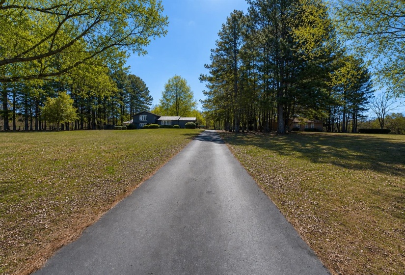 Paved driveway winding through expansive grounds, featuring mature trees and a manicured lawn
