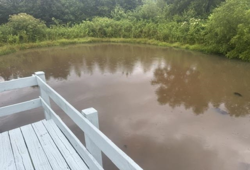 Dockside water feature with painted wood decking, matching railing, and surrounding natural foliage