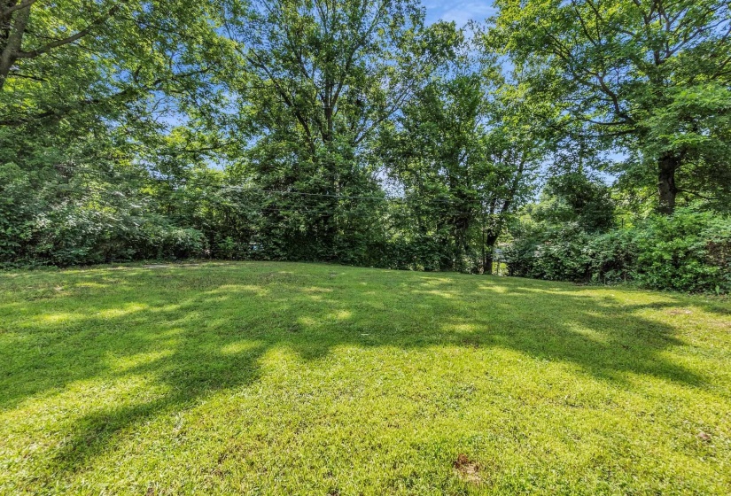 Expansive lawn area surrounded by mature trees and lush foliage, providing natural screening