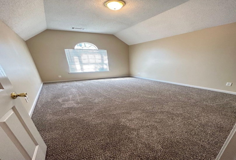 Additional living space featuring carpet, lofted ceiling, and a textured ceiling