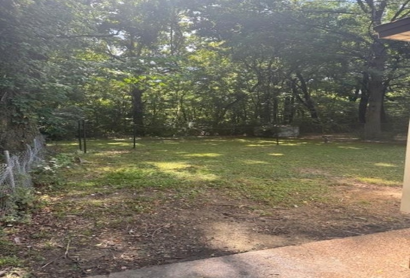 View of nature