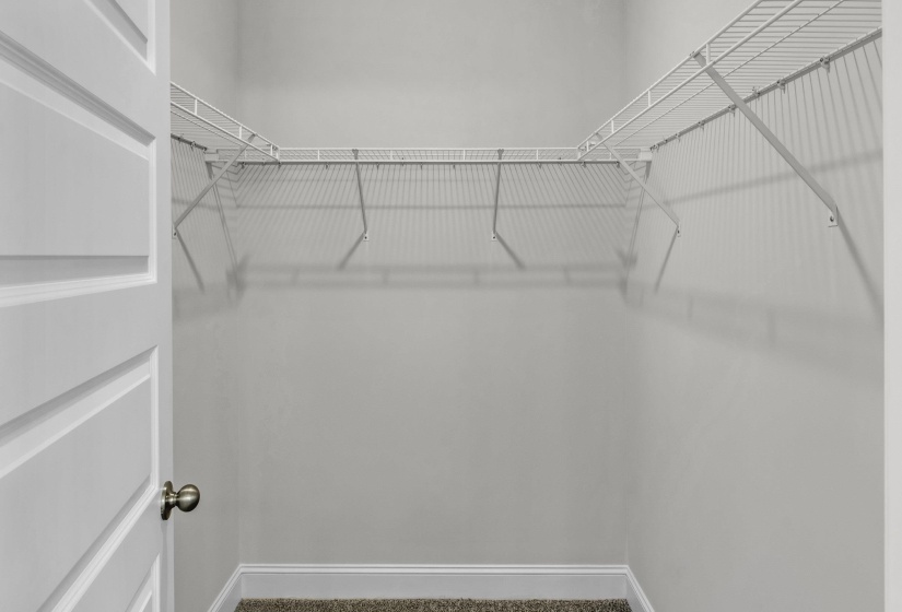 Walk in closet featuring carpet flooring