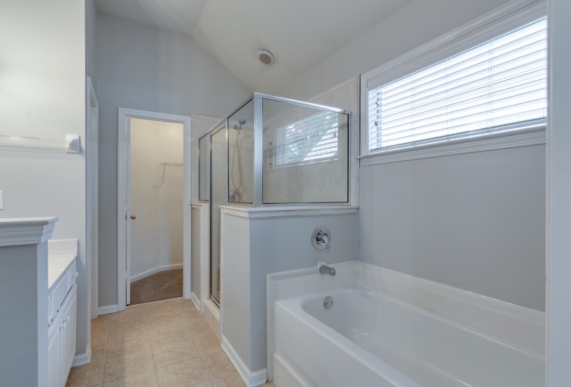 Bathroom featuring a built-in tub, separate glass-enclosed shower, and a single vanity with storage cabinetry