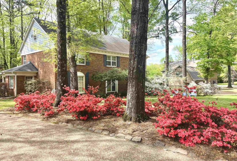 2391 YESTER OAKS DR, Germantown, Tennessee 38139, 4 Bedrooms Bedrooms, 10 Rooms Rooms,2.1 BathroomsBathrooms,Residential,For Sale,YESTER OAKS,10224639