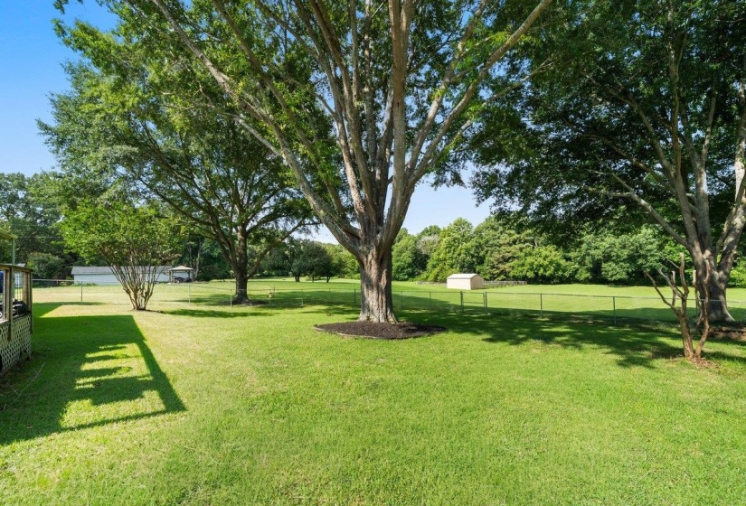 Expansive green lawn featuring mature trees, a chain-link fence, and a distant storage shed
