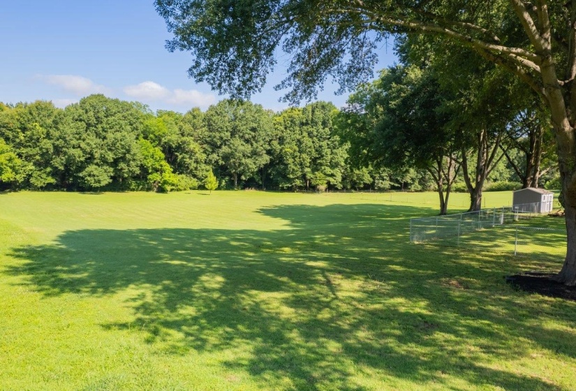 Expansive green lawn surrounded by mature trees and three fruit trees