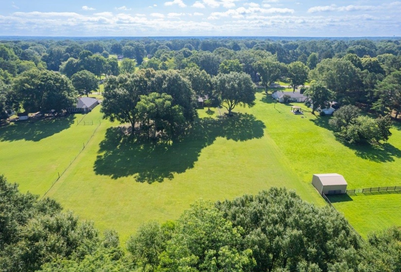 Expansive green grounds featuring mature trees and a detached shed