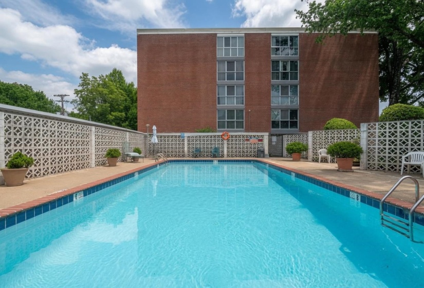 Large outdoor swimming pool with a concrete surround, brick coping, and a metal ladder