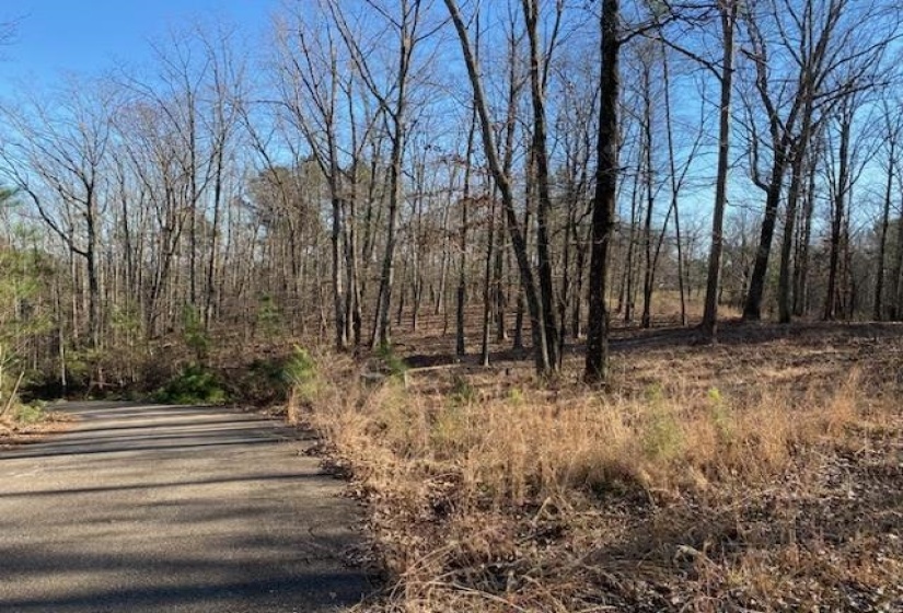 3595 NORTHSHORE DR, Savannah, Tennessee 38372, ,Land,For Sale,NORTHSHORE,10224684