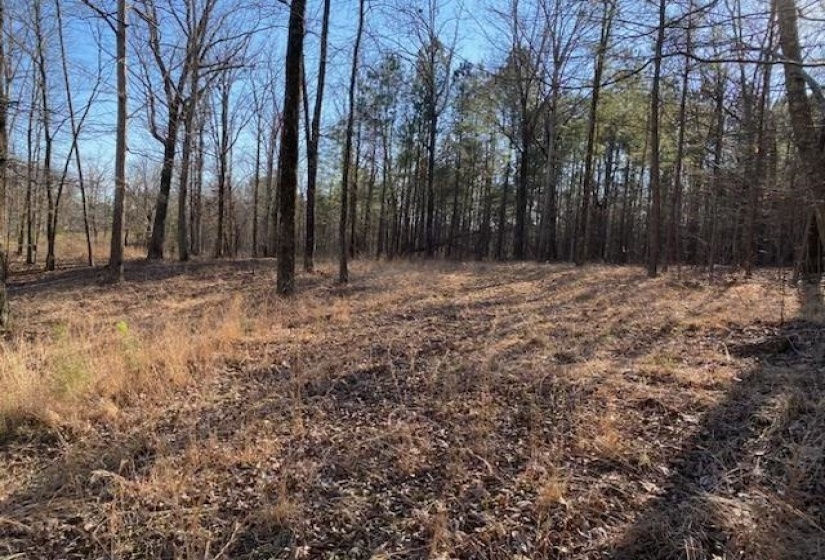3595 NORTHSHORE DR, Savannah, Tennessee 38372, ,Land,For Sale,NORTHSHORE,10224684