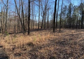 3595 NORTHSHORE DR, Savannah, Tennessee 38372, ,Land,For Sale,NORTHSHORE,10224684 3595 NORTHSHORE DR, Savannah, Tennessee 38372, ,Land,For Sale,NORTHSHORE,10224684