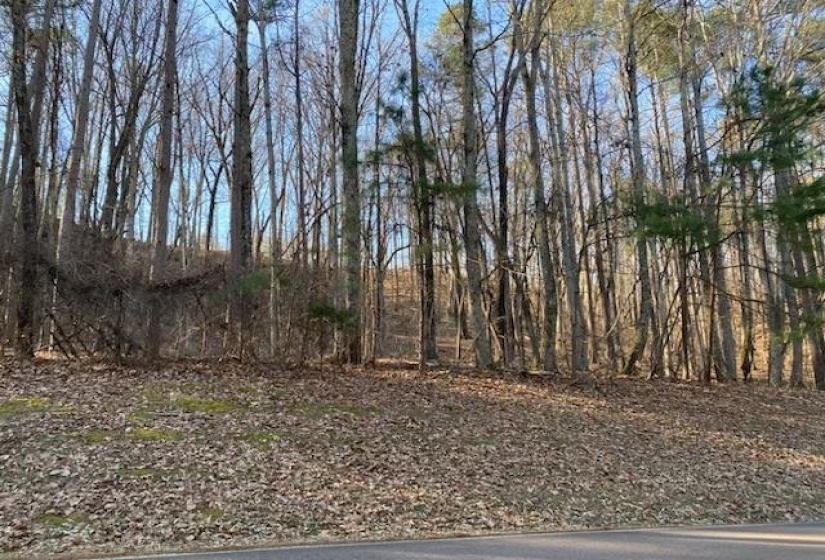 3595 NORTHSHORE DR, Savannah, Tennessee 38372, ,Land,For Sale,NORTHSHORE,10224684