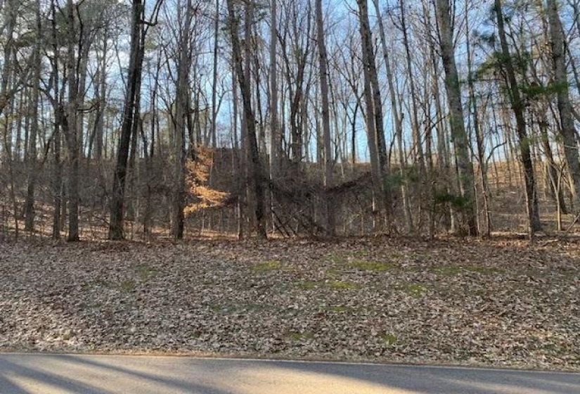 3595 NORTHSHORE DR, Savannah, Tennessee 38372, ,Land,For Sale,NORTHSHORE,10224684