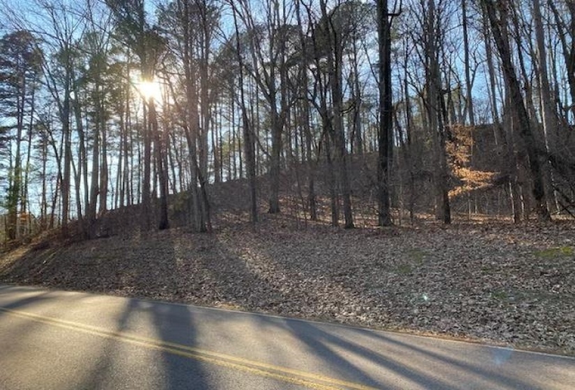 3595 NORTHSHORE DR, Savannah, Tennessee 38372, ,Land,For Sale,NORTHSHORE,10224684