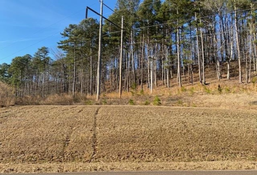 3595 NORTHSHORE DR, Savannah, Tennessee 38372, ,Land,For Sale,NORTHSHORE,10224684