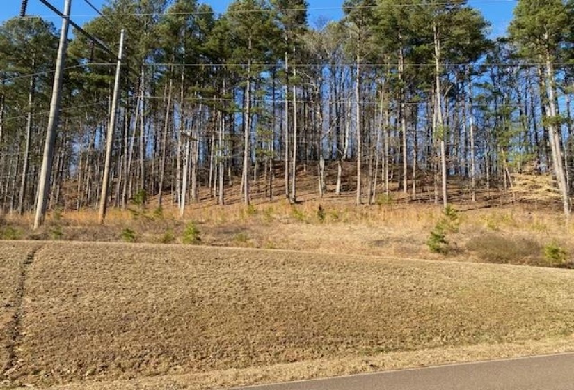 3595 NORTHSHORE DR, Savannah, Tennessee 38372, ,Land,For Sale,NORTHSHORE,10224684