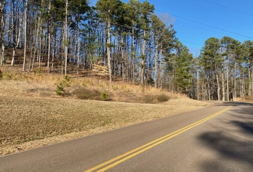 3595 NORTHSHORE DR, Savannah, Tennessee 38372, ,Land,For Sale,NORTHSHORE,10224684